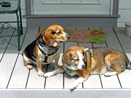 The 1810 Juliand House Bed & Breakfast image 12