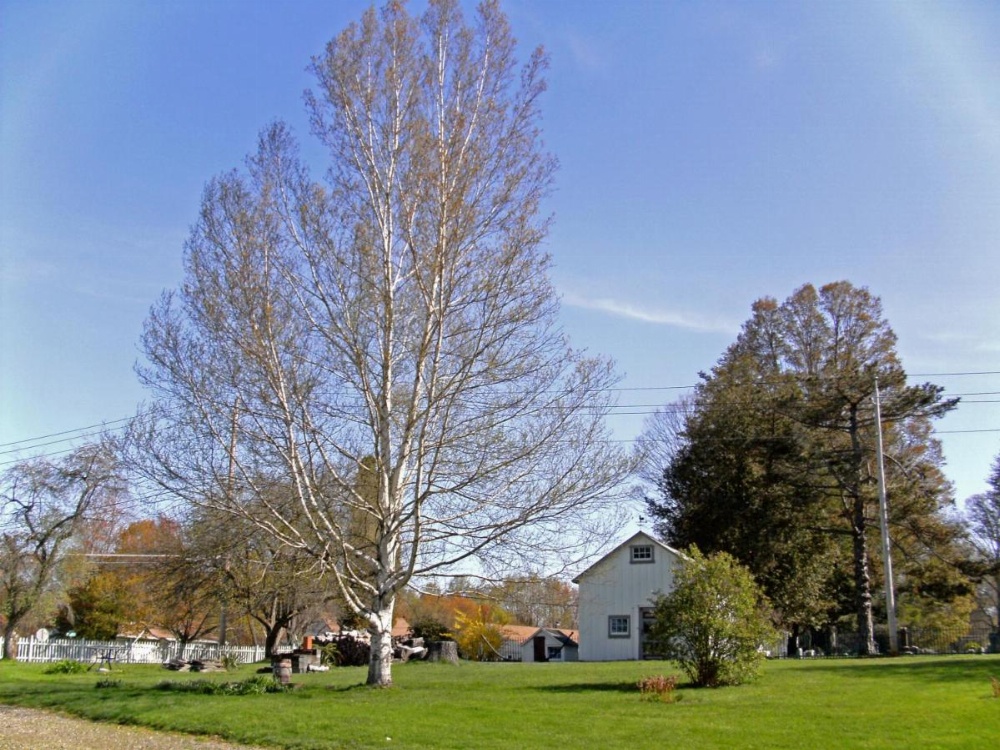 The 1810 Juliand House Bed & Breakfast Image 13